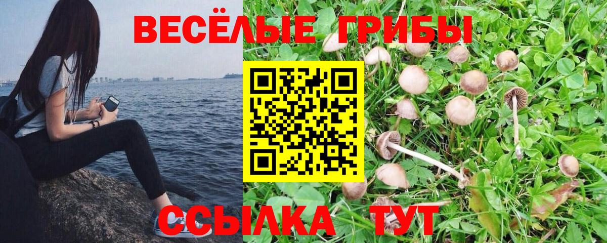 купить наркотики цена  Псилоцибиновые грибы мухоморы  Псилоцибиновые грибы мухоморы  Вход с VPN  Сарапул 